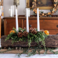 Christmas-yulelog-centerpiece-1024x1024